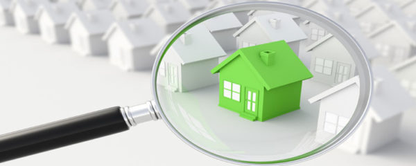 agence immobilière