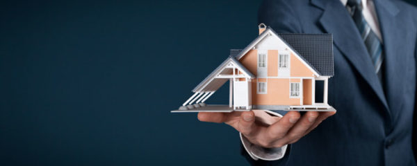 Immobilier de luxe