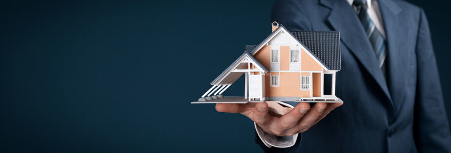 Immobilier de luxe