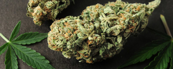 fleurs CBD