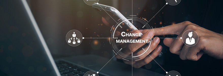 management de transition