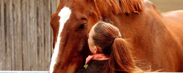 equicoaching