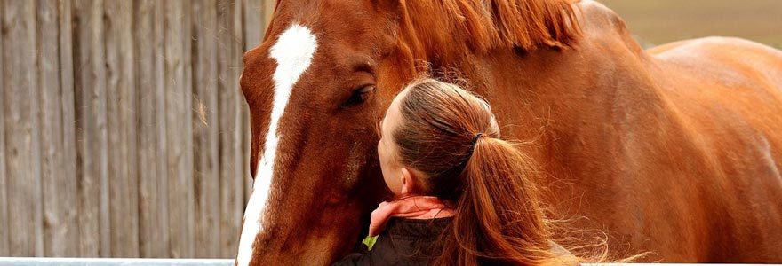 equicoaching