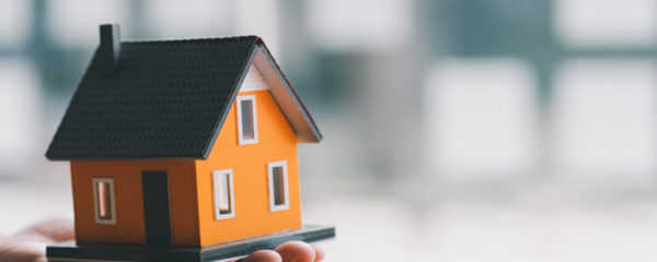 agence immobilière