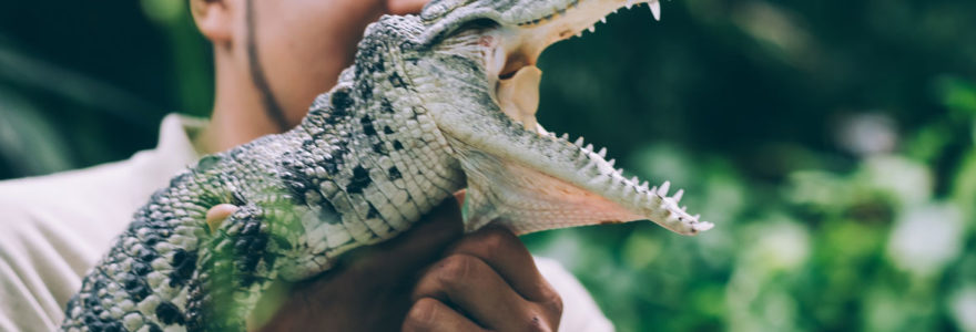 Les coulisses des parcs animaliers