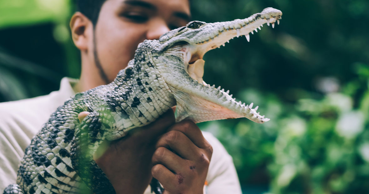 Les coulisses des parcs animaliers